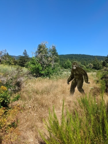Spacecapn blog - squatch tending the orchard